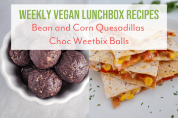 Vegan Lunchbox Recipes Quesadillas and Choc Weetbix Balls