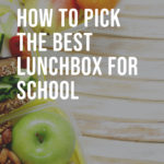 how to pick the best lunchbox for school